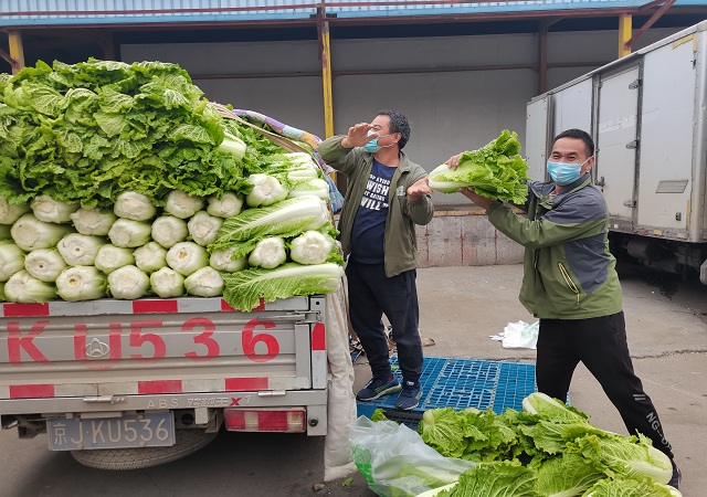 多宝注册网（中国区）首页加大“冬储菜”调运，全力做好保供稳价